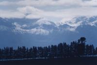snow capped peaks and line of trees