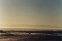 mist at dawn over Racecourse