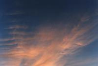 altocumulus ripples at dawn
