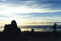 dawn fog with statues at Rhodes Memorial