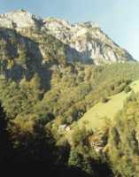 trees and cliffs up mountainside