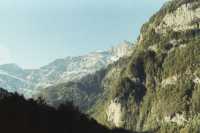 trees up mountainside to snow capped peak