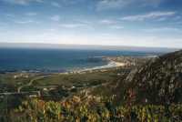 Harold Porter Botanical Garden and coast to Stony Point