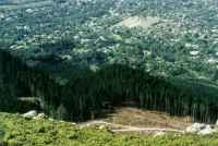 Cecilia Plantation clear-cut from Constantia Corner