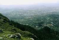 Cecilia Ridge and Bishopscourt from Constantia Corner