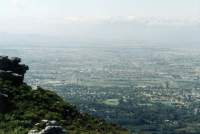 suburbs and Kenilworth Racecourse from Constantia Corner