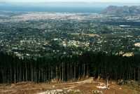 Cecila Plantation clear-cut and suburbs towards False Bay
