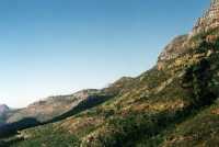Steenberg Ridge closeup from Constantiaberg