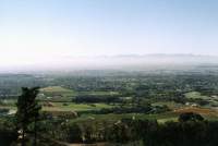vineyards and suburbs from Constantiaberg
