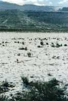 snowy field and hillside above Theronsberg Pass, Ceres