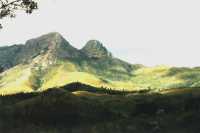 sun splashed hillside in Du Toits Kloof