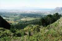 Farms from Constantiaberg