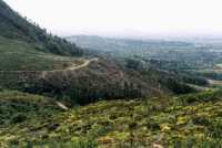 Vlakkenberg clearcut with fynbos