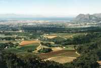 Constantia farms with False Bay
