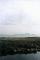 cirrus over Table Mountain from Zandvlei