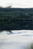 Silvermine Reservoir reflecting with reeds