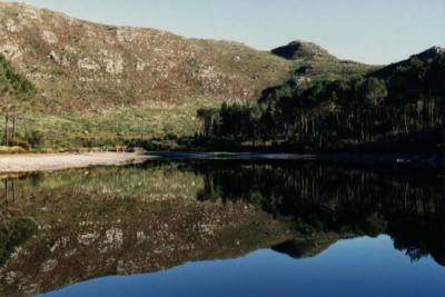 reflections in Silvermine Nature Reserve reservoir