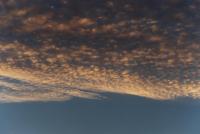 tapering opaque altocumulus patterns
