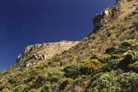 Muizenberg Mountain and fynbos with polariser