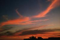 sunrise on cirrus clouds