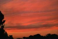 sunrise on cirrus clouds