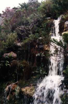 waterfall in Silvermine Nature Reserve
