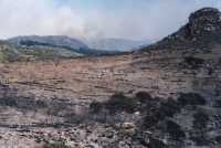 burned area in Silvermine Nature Reserve