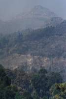 burned area on Vlakkenberg above Constantia Nek