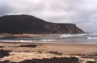 Nature's Valley beach with driftwood and rocky headland