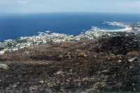 burned fynbos area bove Camps Bay from Pipe Track