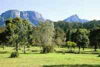 Table Mountain and Devil's Peak from Wynberg Park