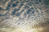 altocumulus patterns at dawn