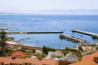 Kalk Bay harbour from Trappieskop
