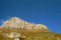 paragliders over Lion's Head