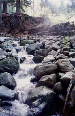 Newlands Stream after first rains