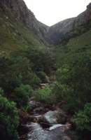 stream from Leopard's Kloof