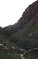 cliffs overhanging Harold Porter Gardens