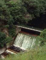 weir in Harold Porter Gardens