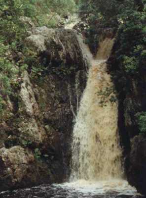 waterfall in Harold Porter Gardens
