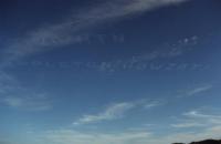 sky writing - Harvards in formation
