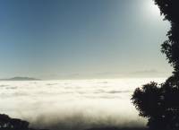 fog bank over Northern Suburbs from Rhodes Memorial