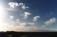 early morning cirrus with virga over Racecourse