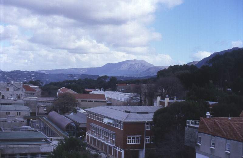 view of Constantiaberg from UCT